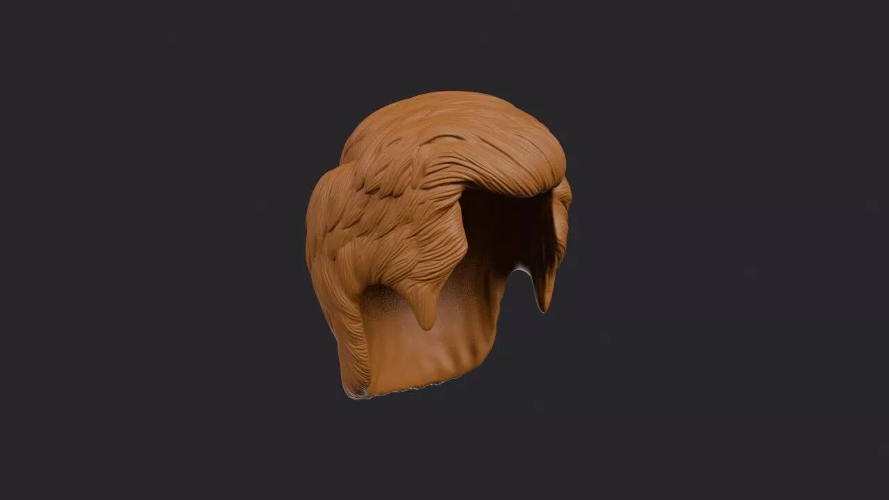 Ivy League Hairstyle 3D print model