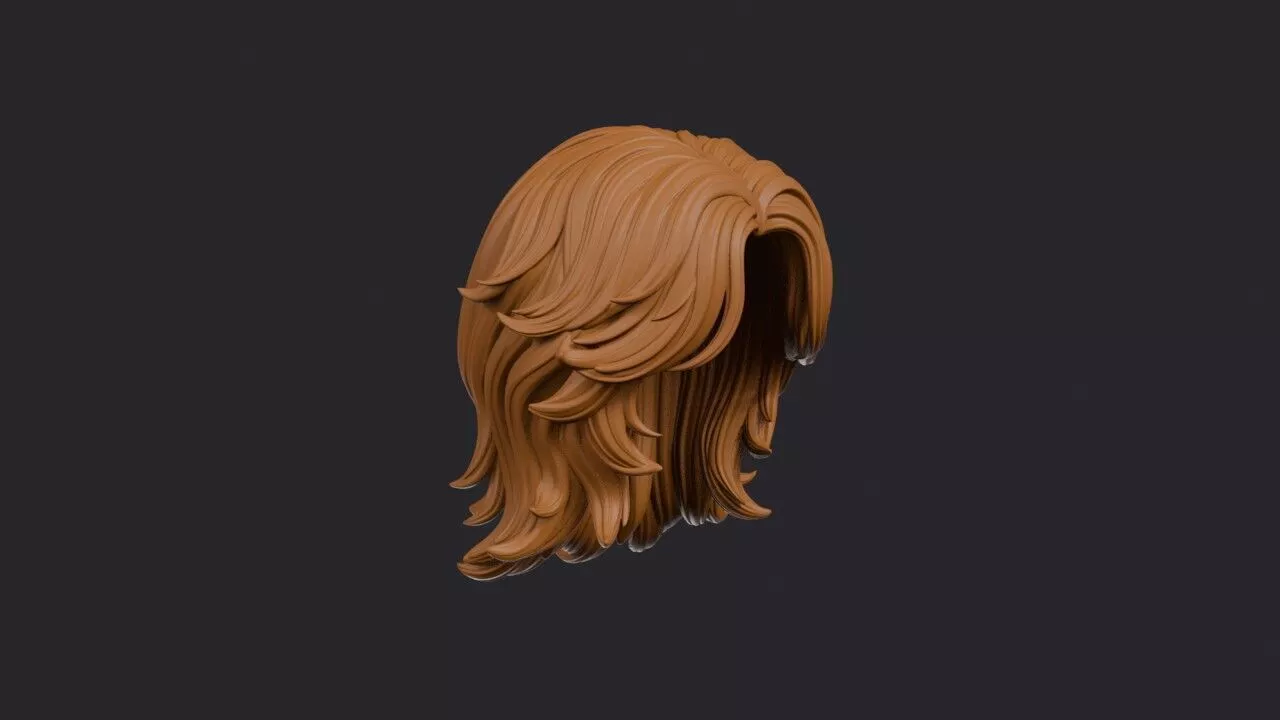 Invisible Layers Hairstyle 3D print model