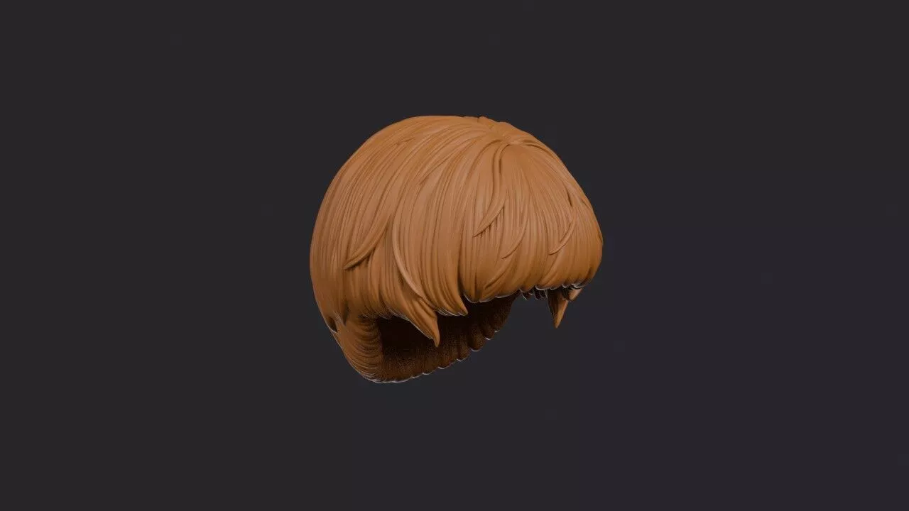Bowl Cut Hairstyle 3D print model