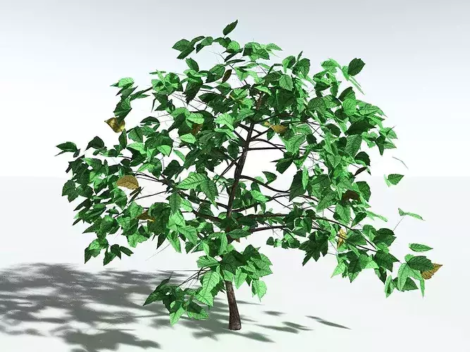 EVERYPlant Western Poison Oak LowPoly