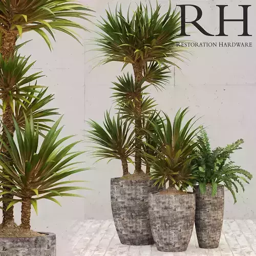 Restoration Hardware corso planter
