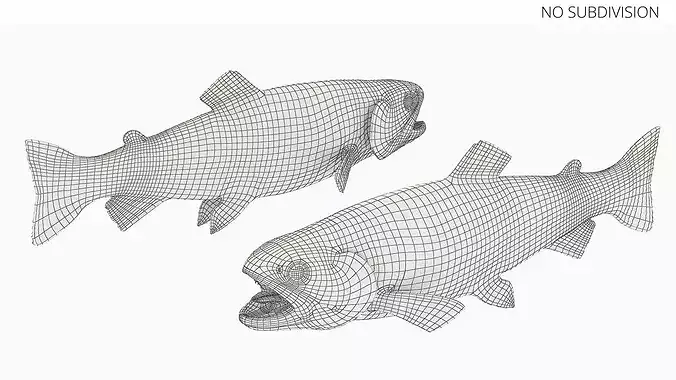 Brown Trout Fish Rigged for Cinema 4D 3D model 7