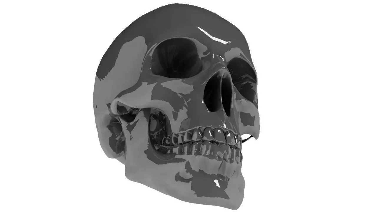 HEAD SKULL C4D 3D model_0