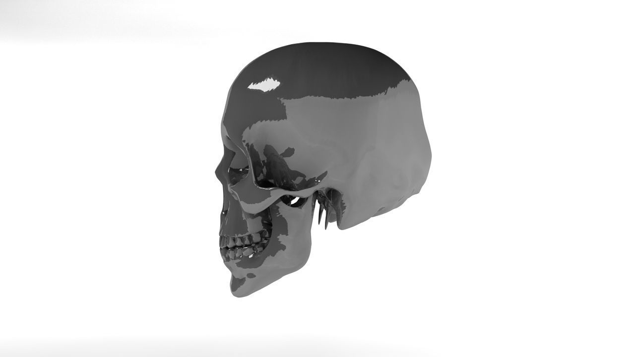 HEAD SKULL C4D 3D model_2