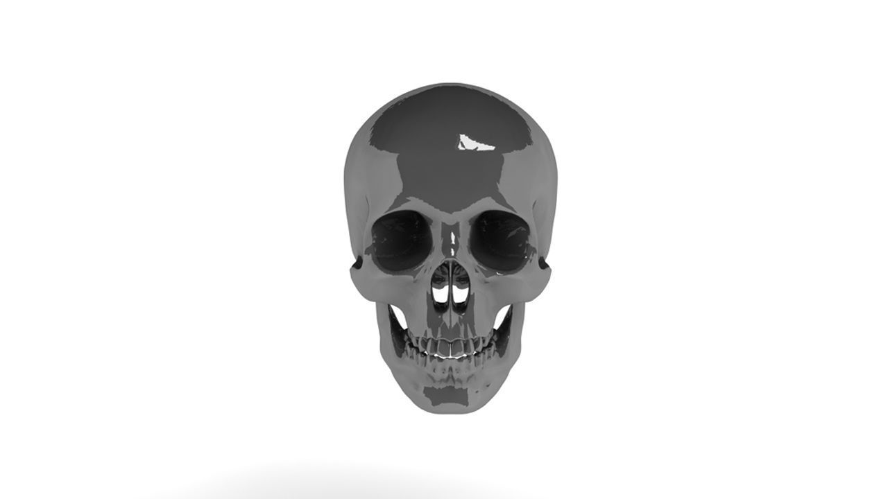 HEAD SKULL C4D 3D model_1
