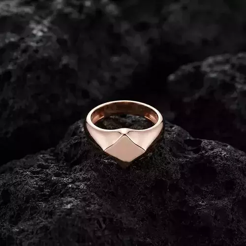 Jewelry Signet Ring v26 S Size