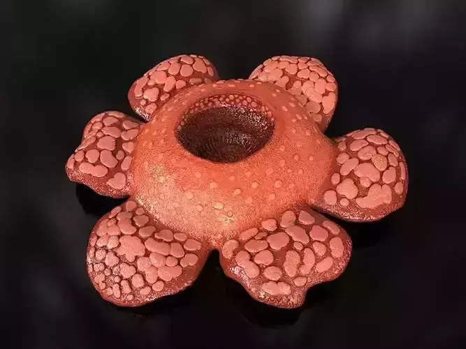 Meat Flower