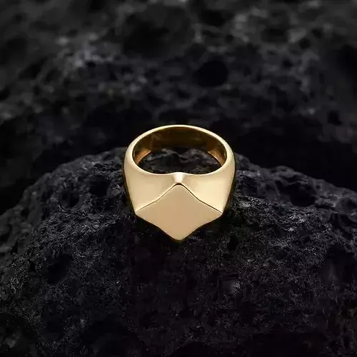 Jewelry Signet Ring v26 L Size
