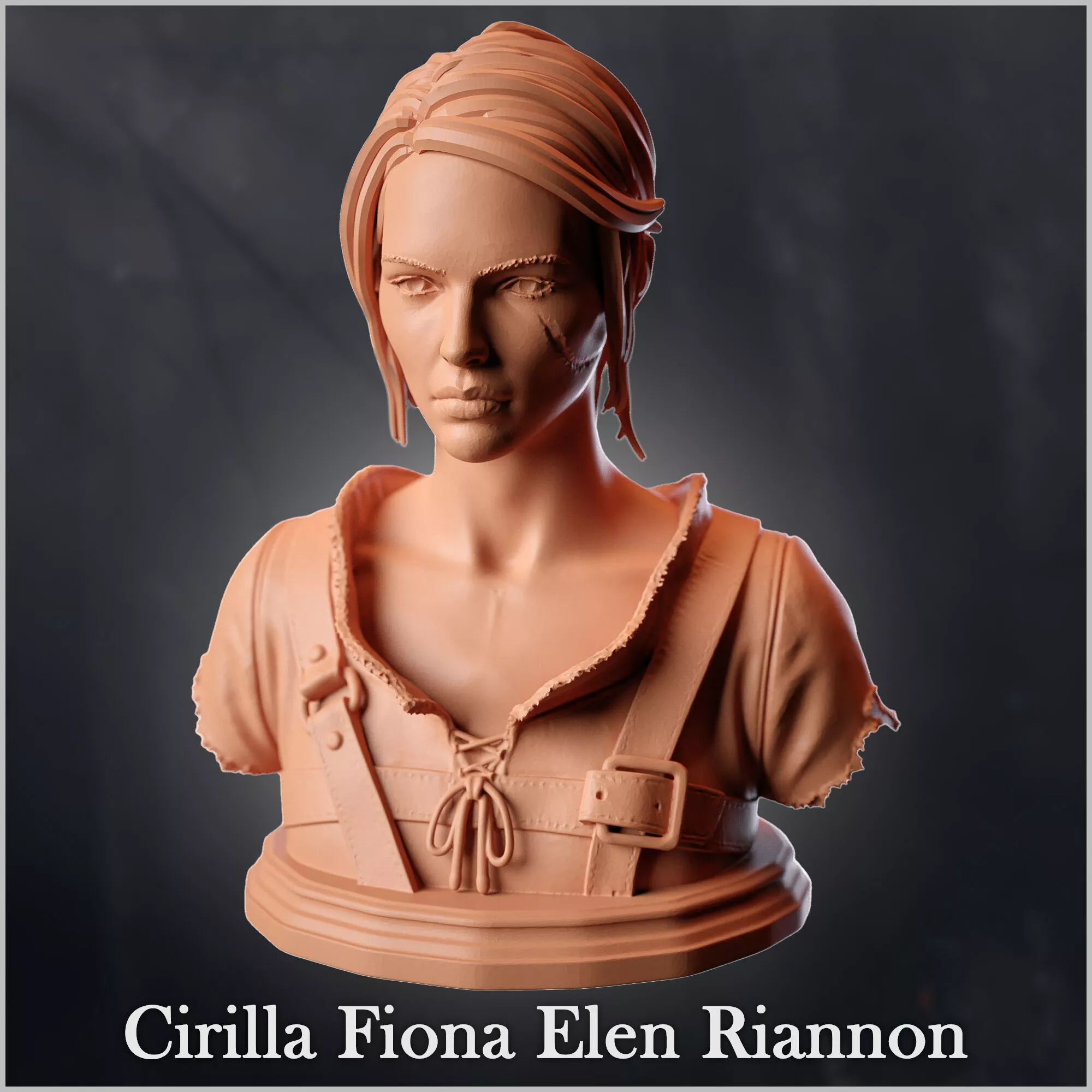 Ciri - Witcher 3 3D print model