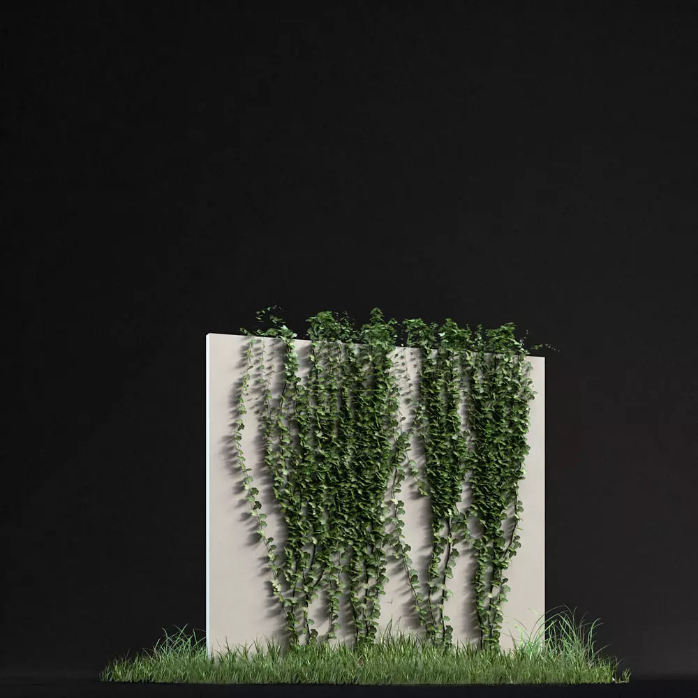 Ivy 01 Free 3D model_0