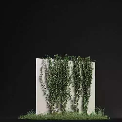 Ivy 01 Free 3D model