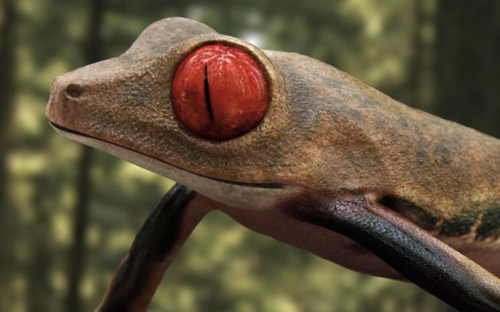 Frog Riged Textuerd Low poly Uv unvraped Animated Low-poly 3D model_2