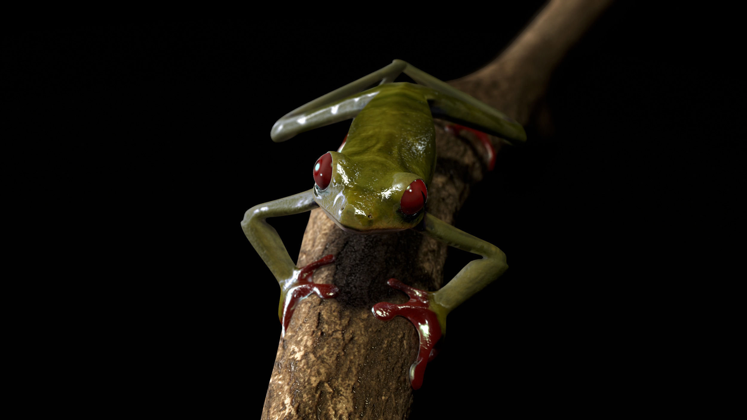 Frog Riged Textuerd Low poly Uv unvraped Animated Low-poly 3D model_5