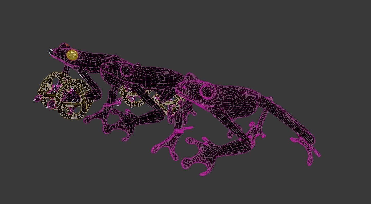 Frog Riged Textuerd Low poly Uv unvraped Animated Low-poly 3D model_7