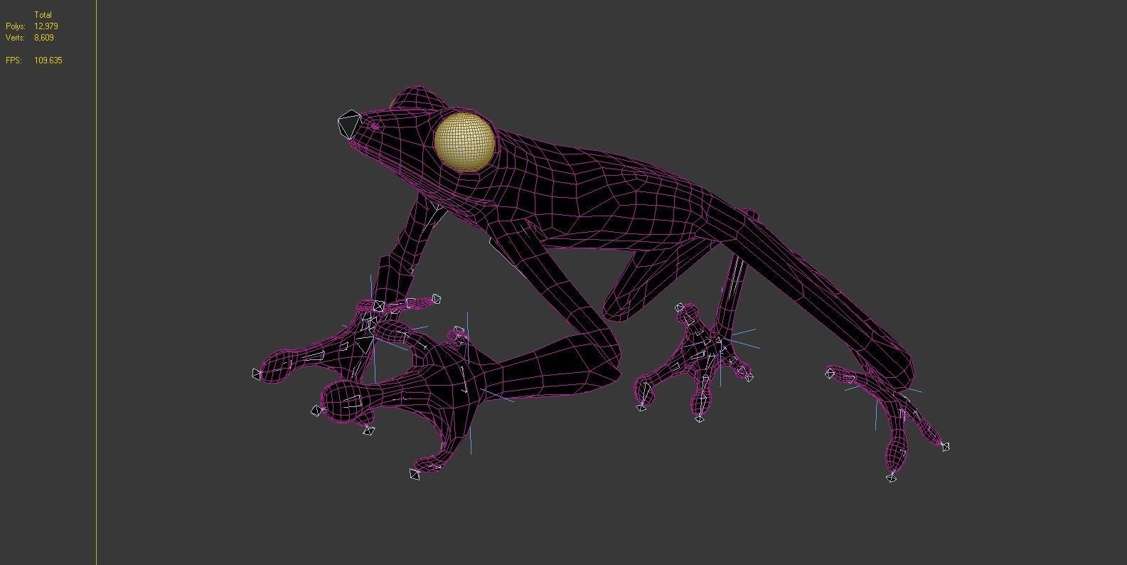Frog Riged Textuerd Low poly Uv unvraped Animated Low-poly 3D model_6
