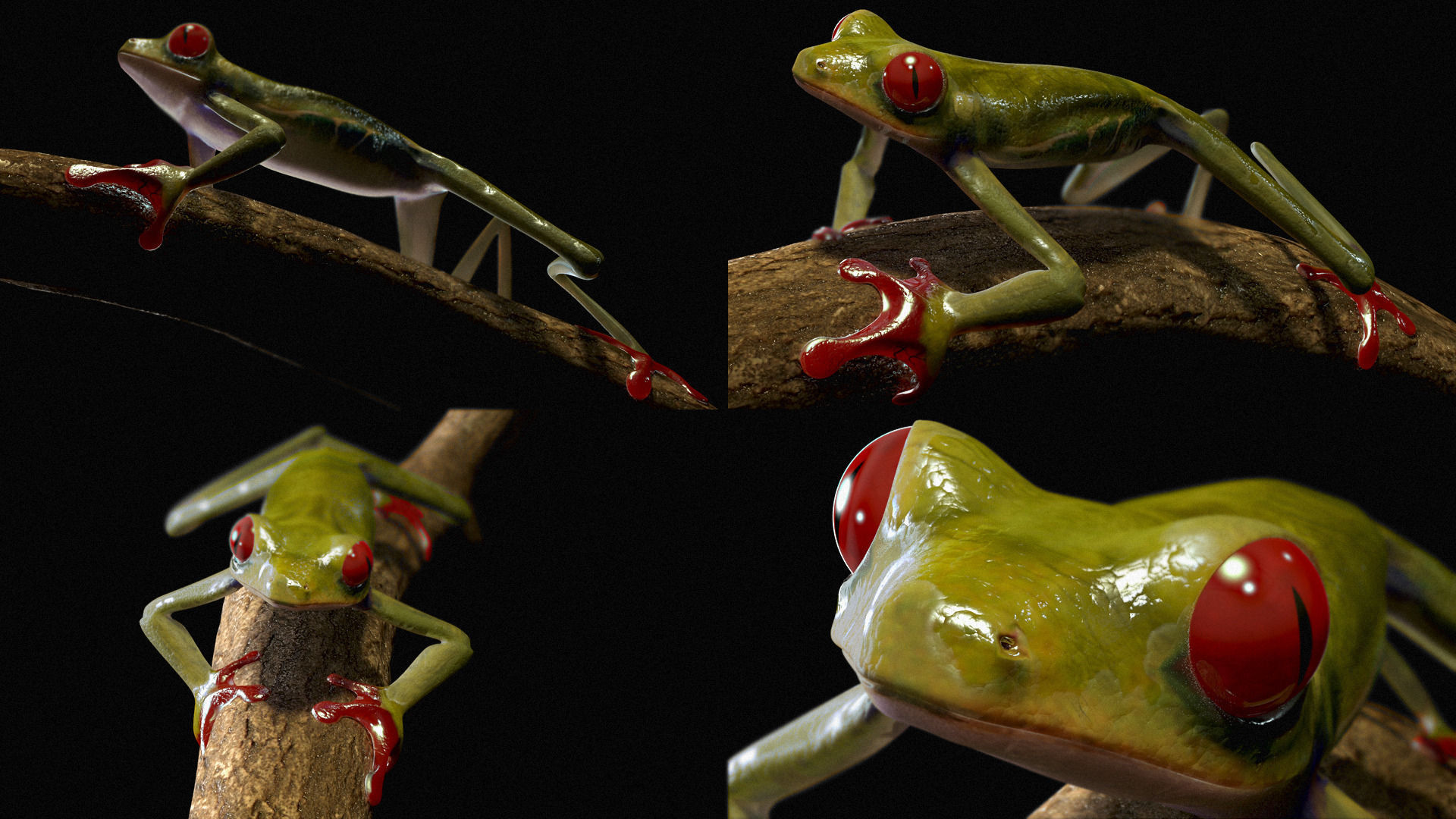 Frog Riged Textuerd Low poly Uv unvraped Animated Low-poly 3D model_4
