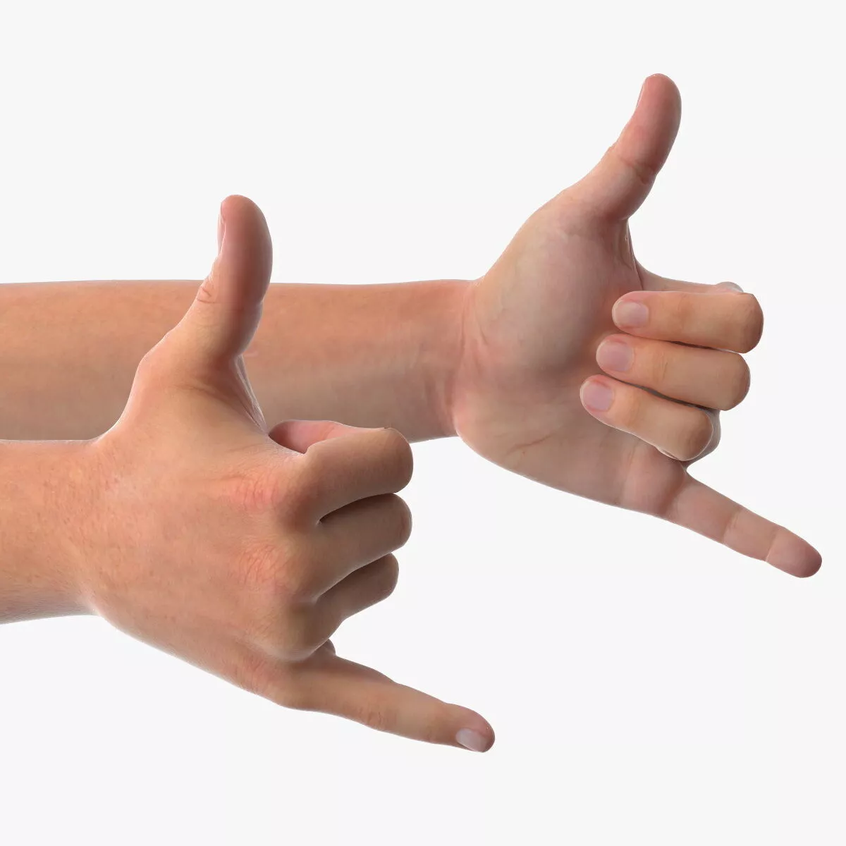Male Arm Pair with Shaka Gesture 3D model