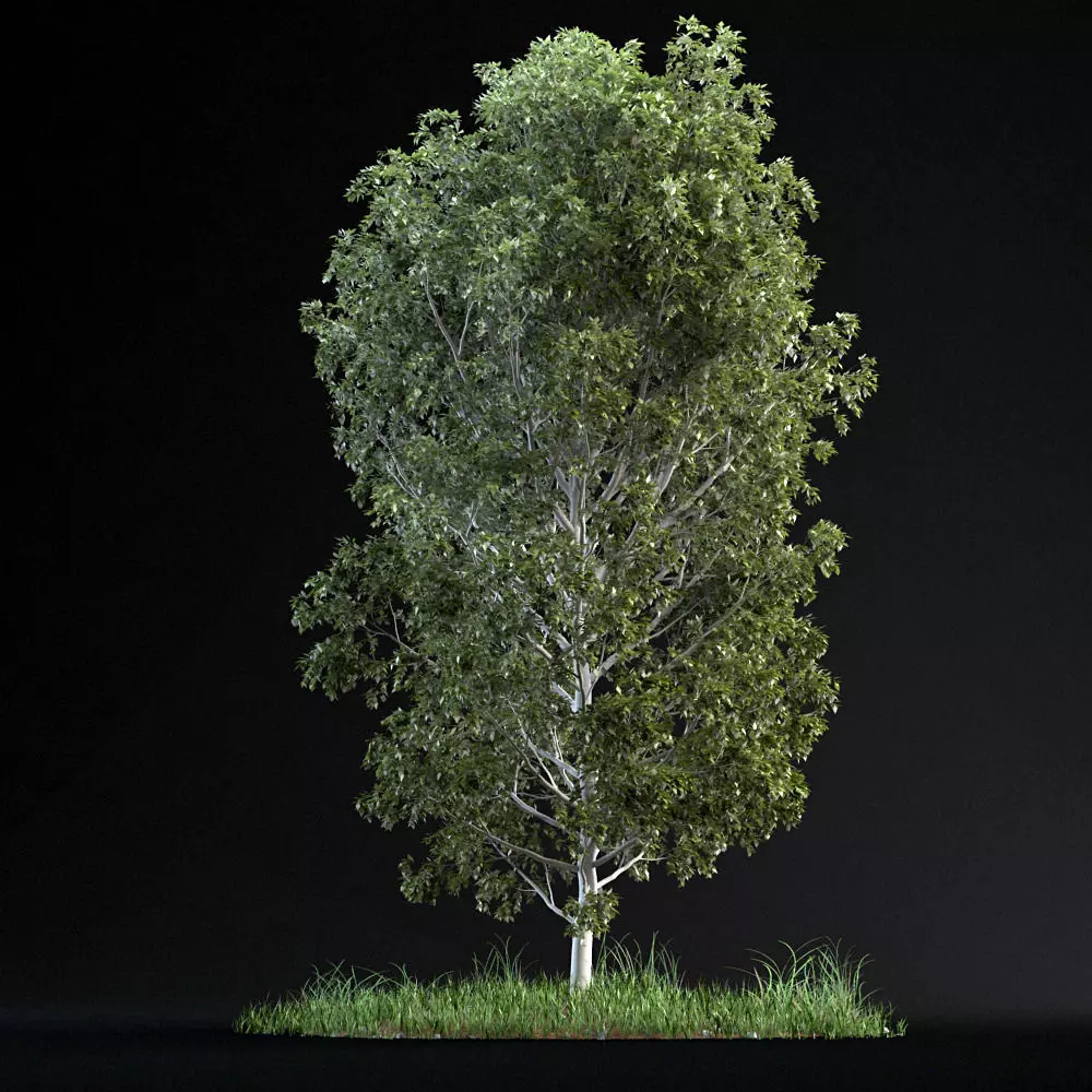 Random Tree 01 3D model_0