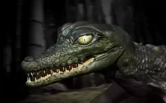 Birth of a Crocodile