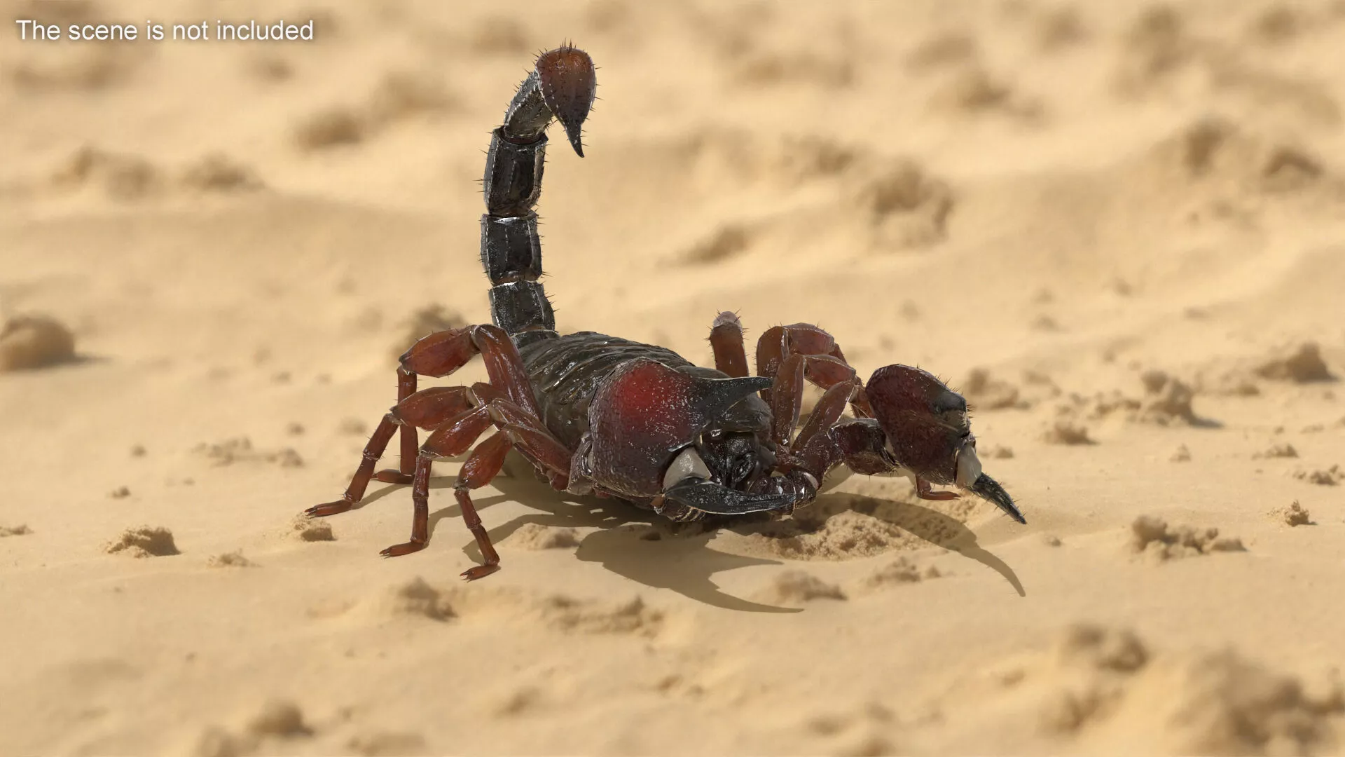 Walking Scorpion Fur Animated Rigged for Cinema 4D 3D model