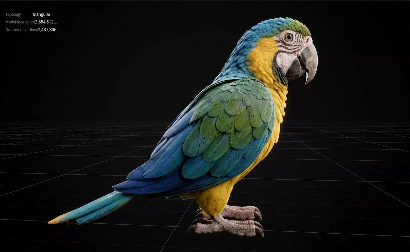 parrot 3d model 3D print model