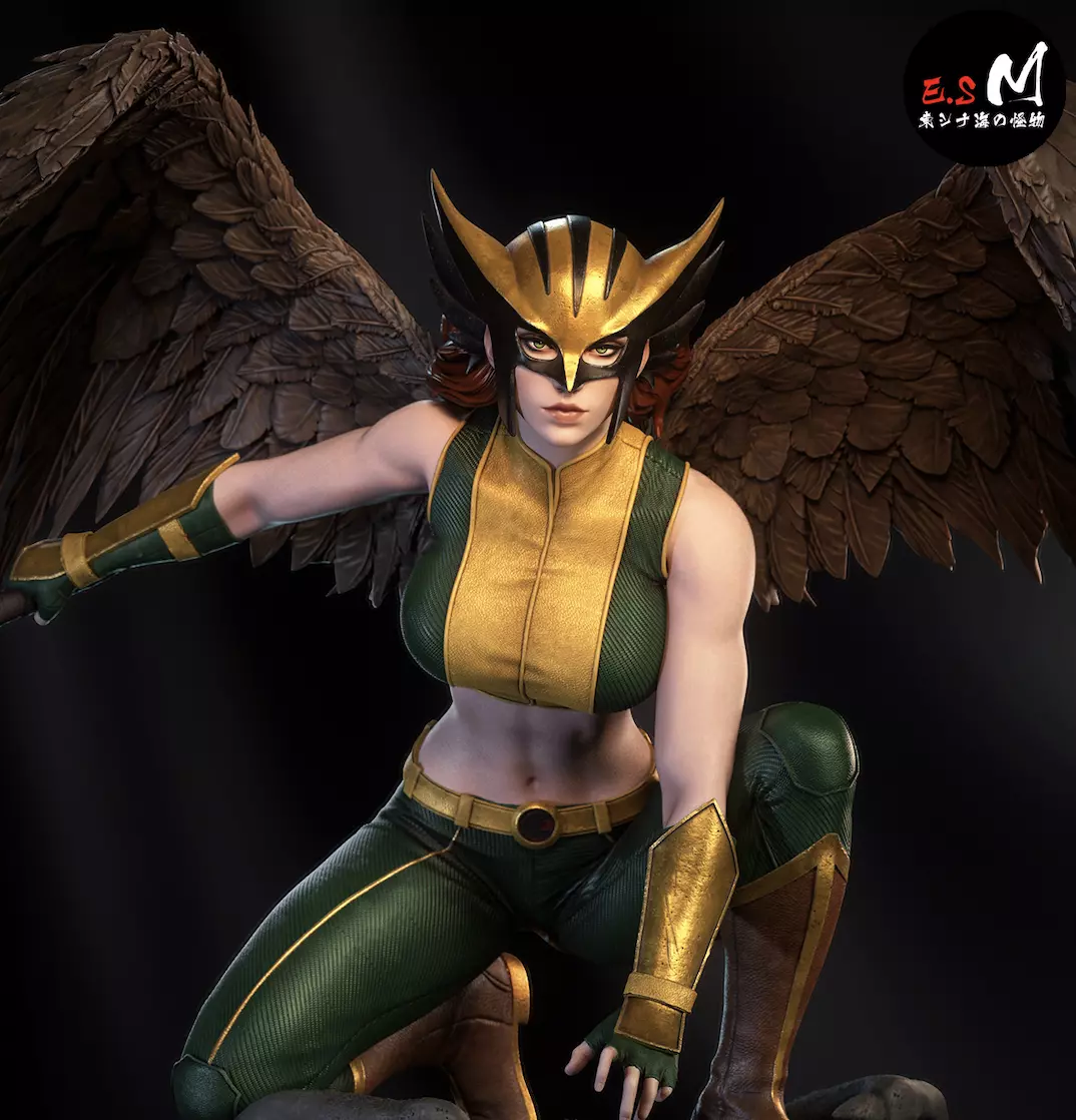 HAWKGIRL by E S Monster 3D print model