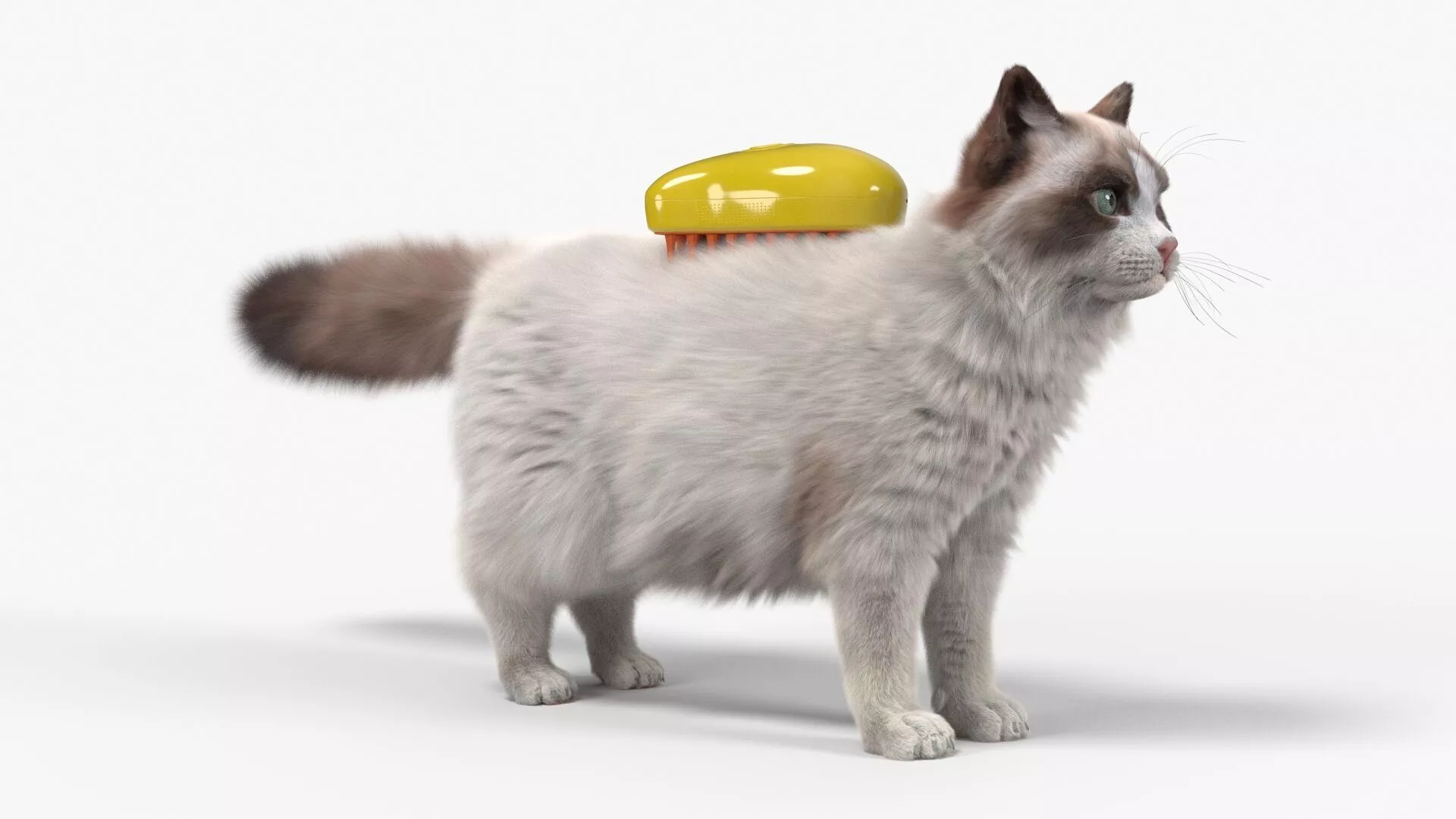 Long Hair Cat Grooming Brush Yellow Fur for Cinema 4D 3D model