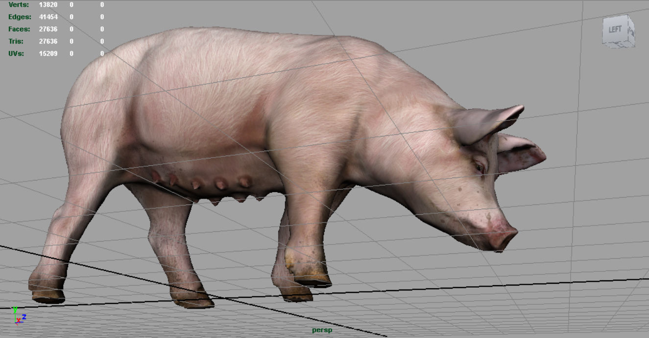 Realistic Sow pig Low-poly 3D model_10