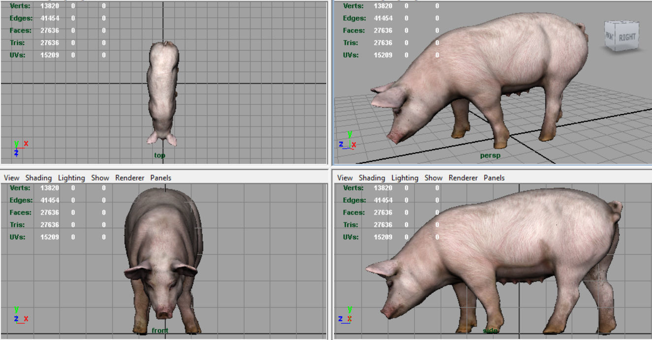Realistic Sow pig Low-poly 3D model_8