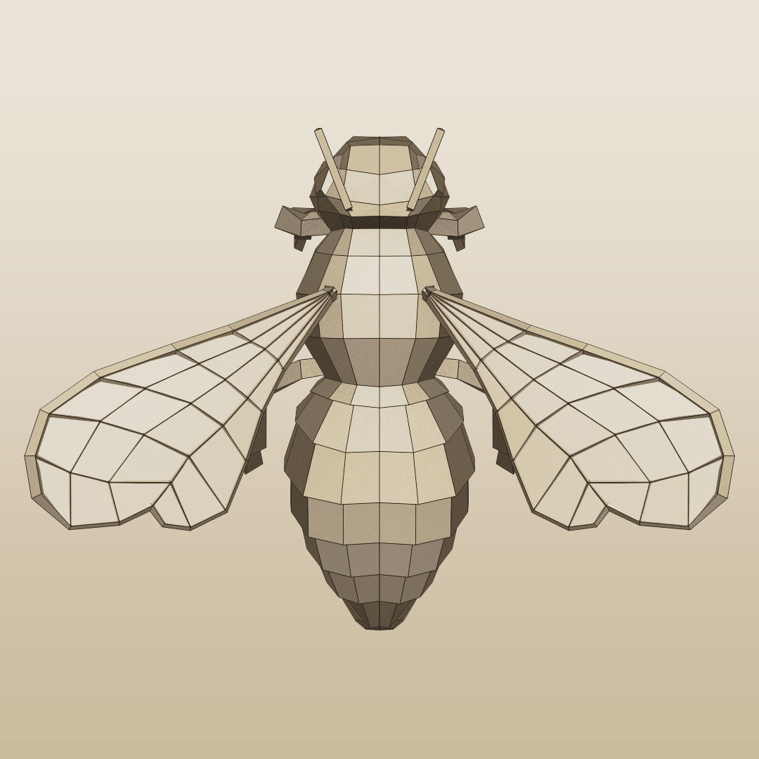 Rigged Bee Low-poly 3D model_4