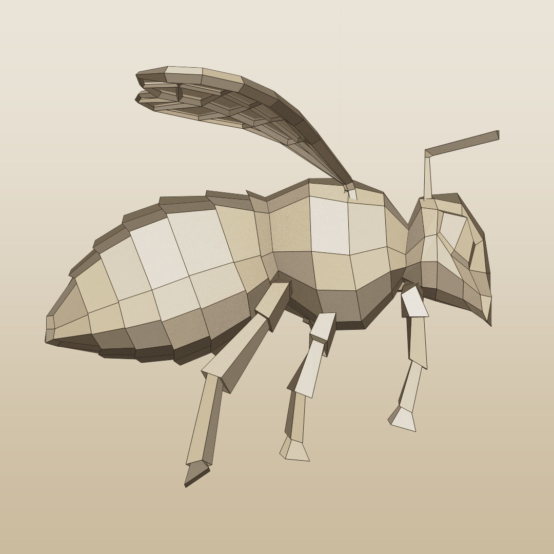 Rigged Bee Low-poly 3D model_2