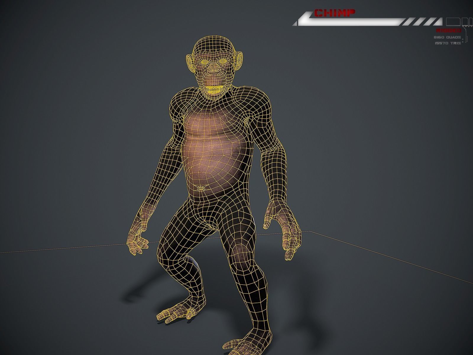 Chimp Lowpoly rigged Low-poly 3D model_8