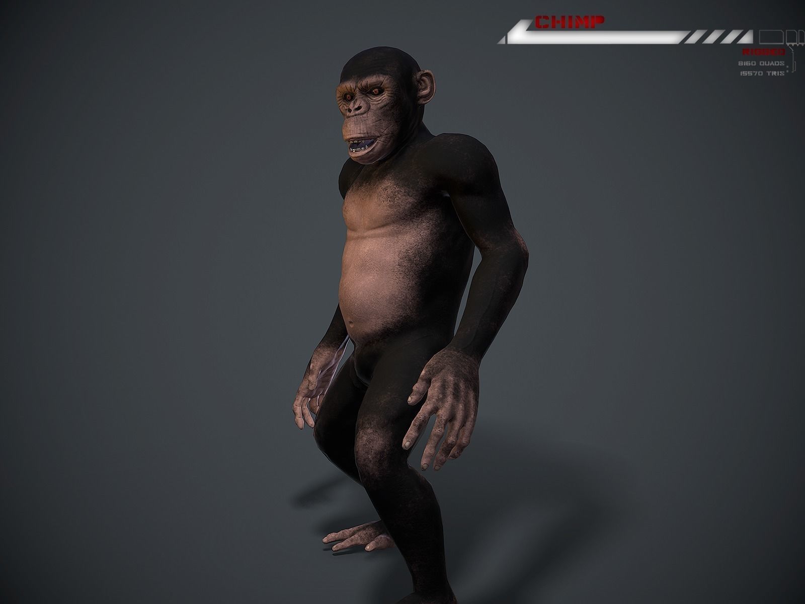 Chimp Lowpoly rigged Low-poly 3D model_2