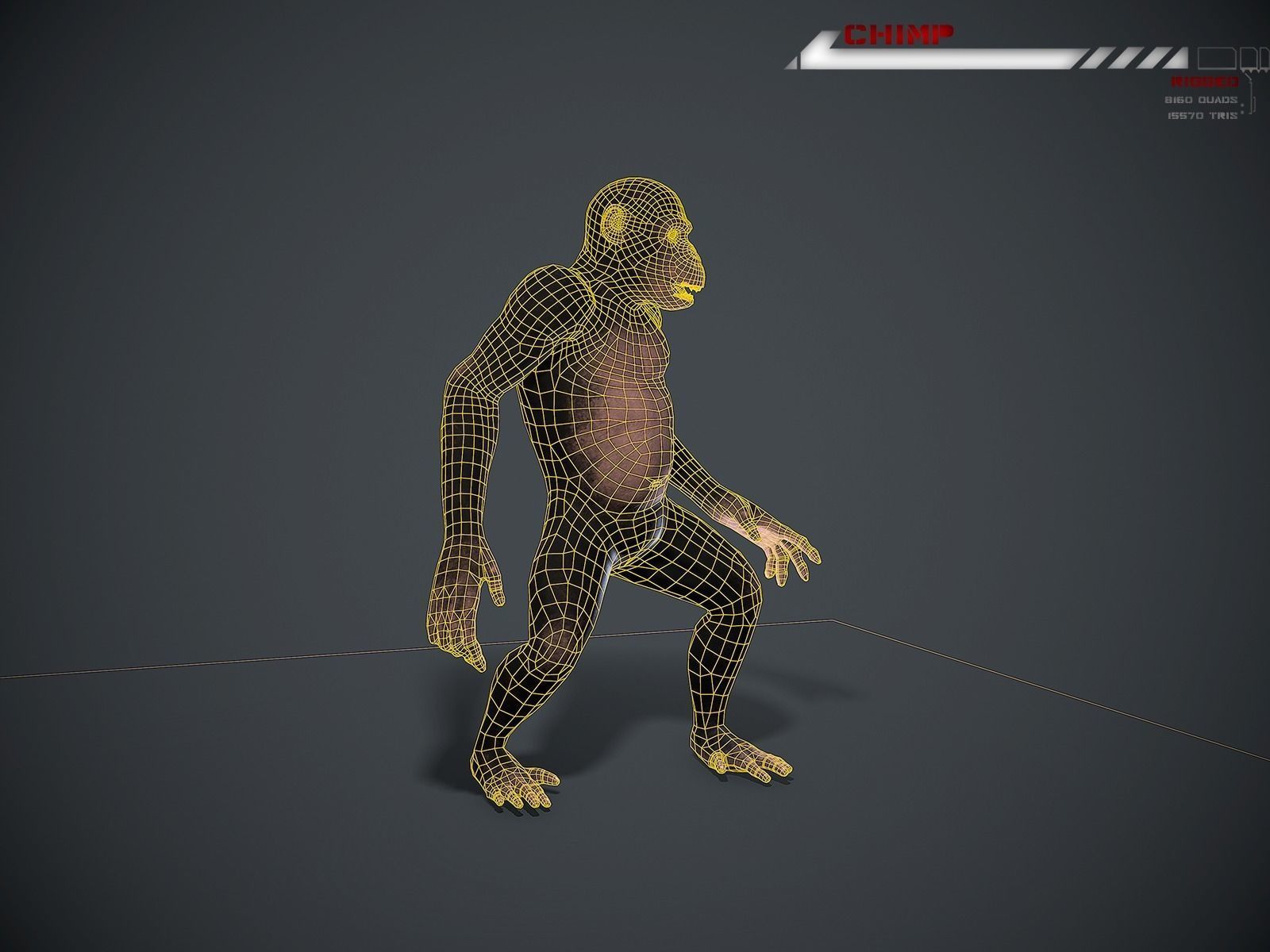 Chimp Lowpoly rigged Low-poly 3D model_9