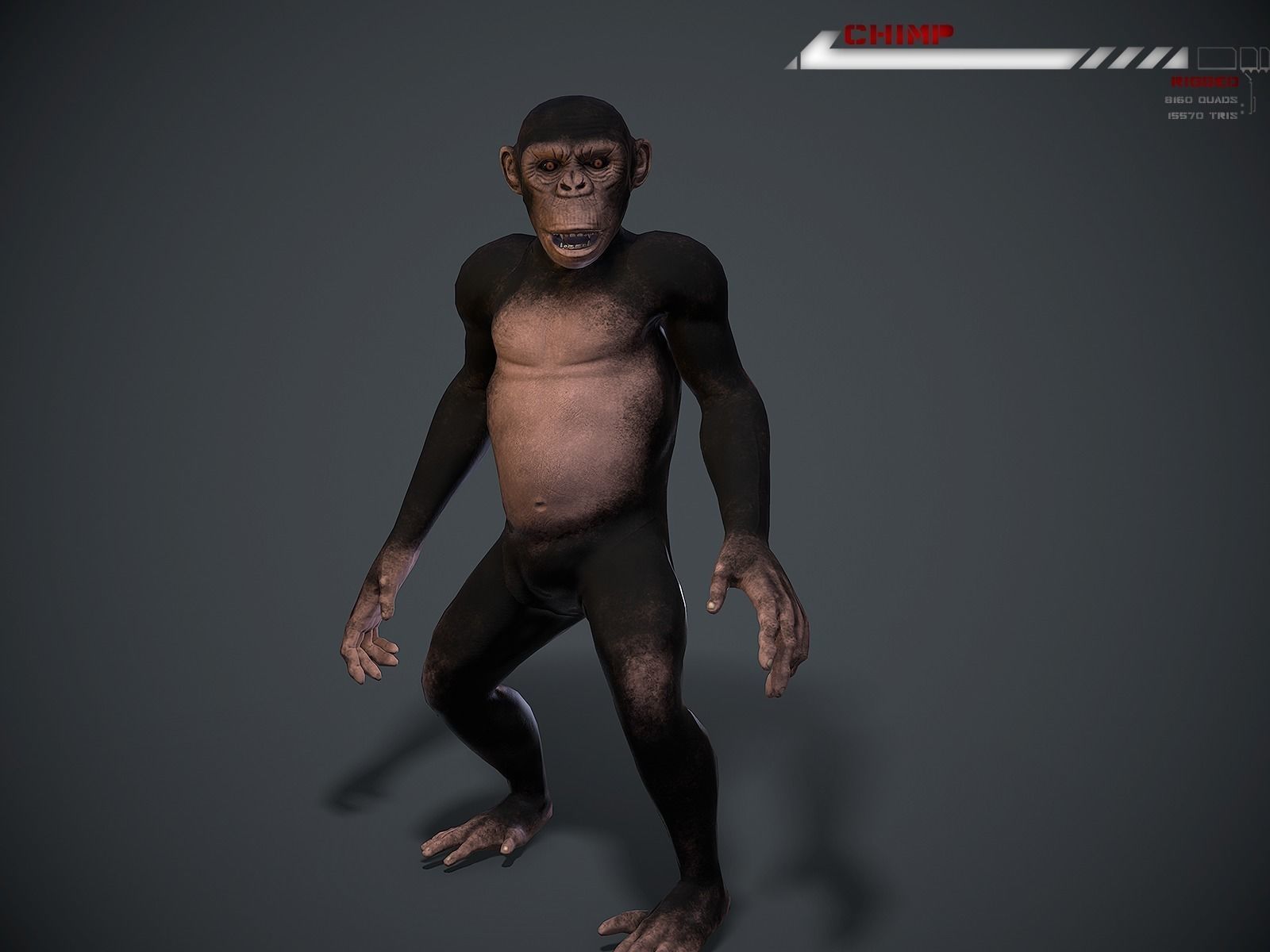 Chimp Lowpoly rigged Low-poly 3D model_0