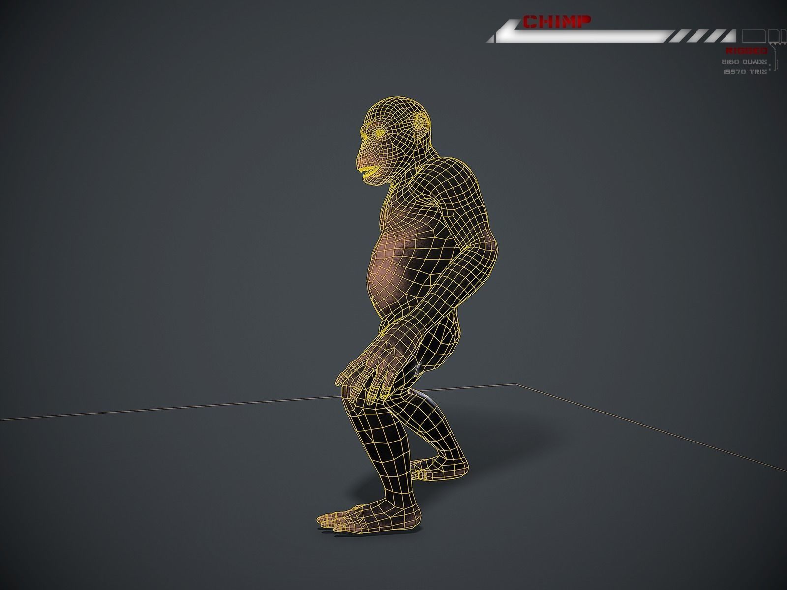 Chimp Lowpoly rigged Low-poly 3D model_11