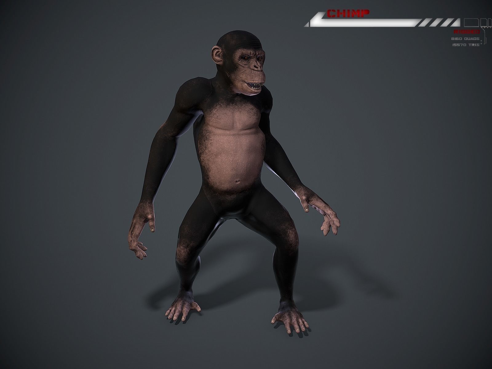 Chimp Lowpoly rigged Low-poly 3D model_3