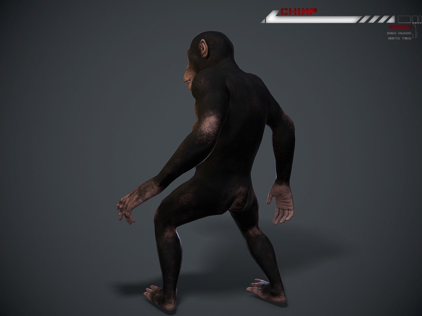 Chimp Lowpoly rigged Low-poly 3D model_5