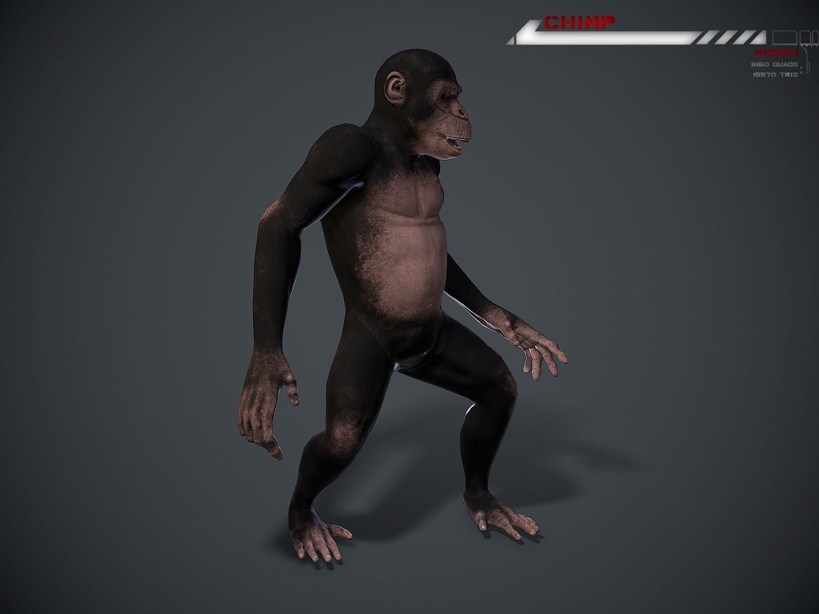 Chimp Lowpoly rigged Low-poly 3D model_4