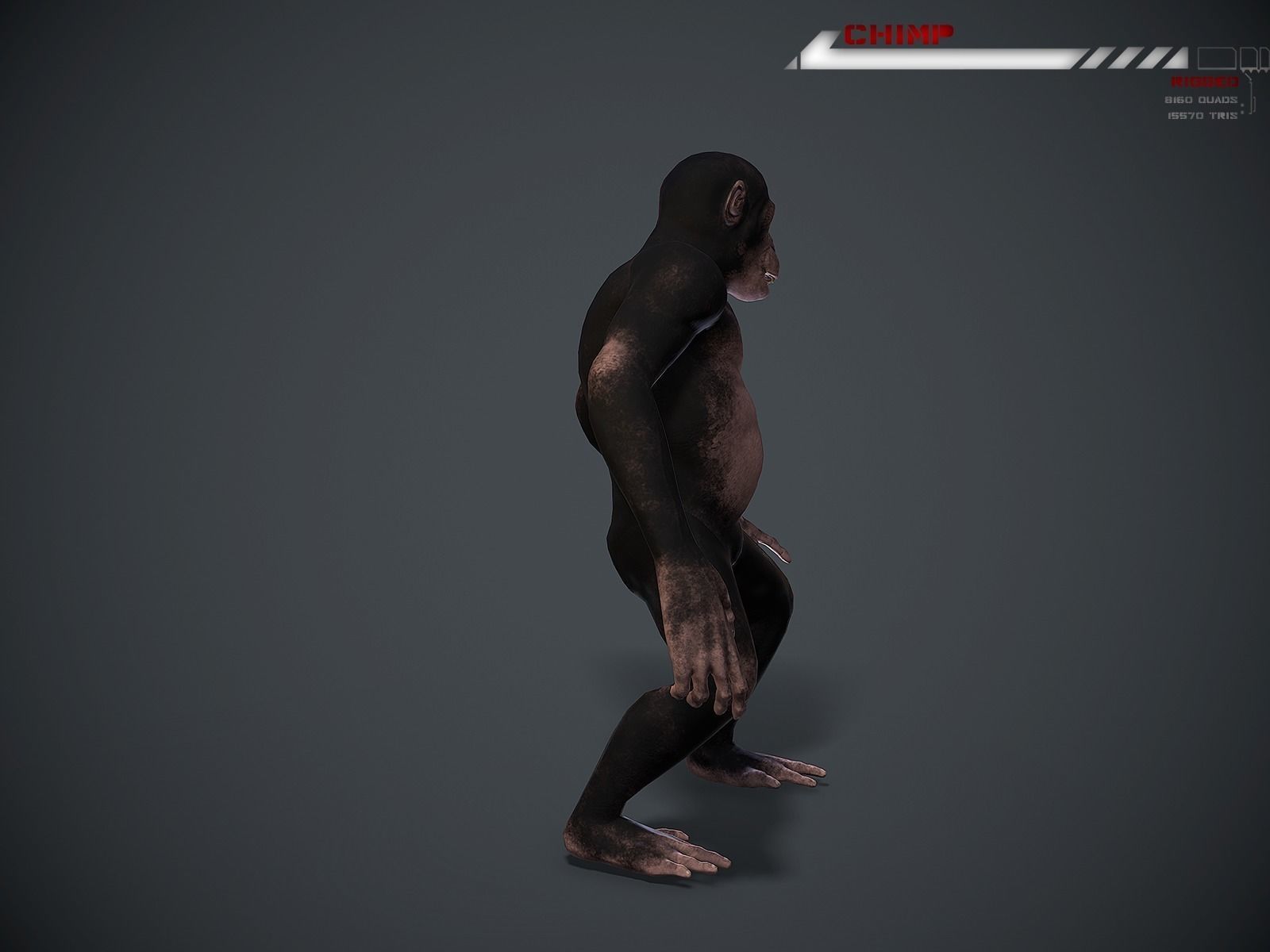 Chimp Lowpoly rigged Low-poly 3D model_6