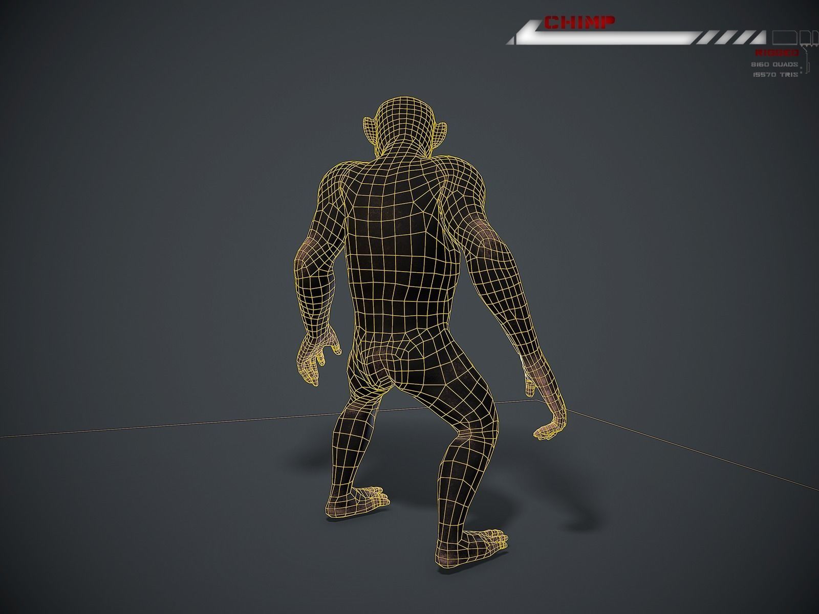 Chimp Lowpoly rigged Low-poly 3D model_10