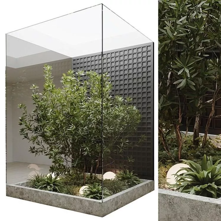 Courtyard with Indoor Garden Minimalist Architectural Design Texture