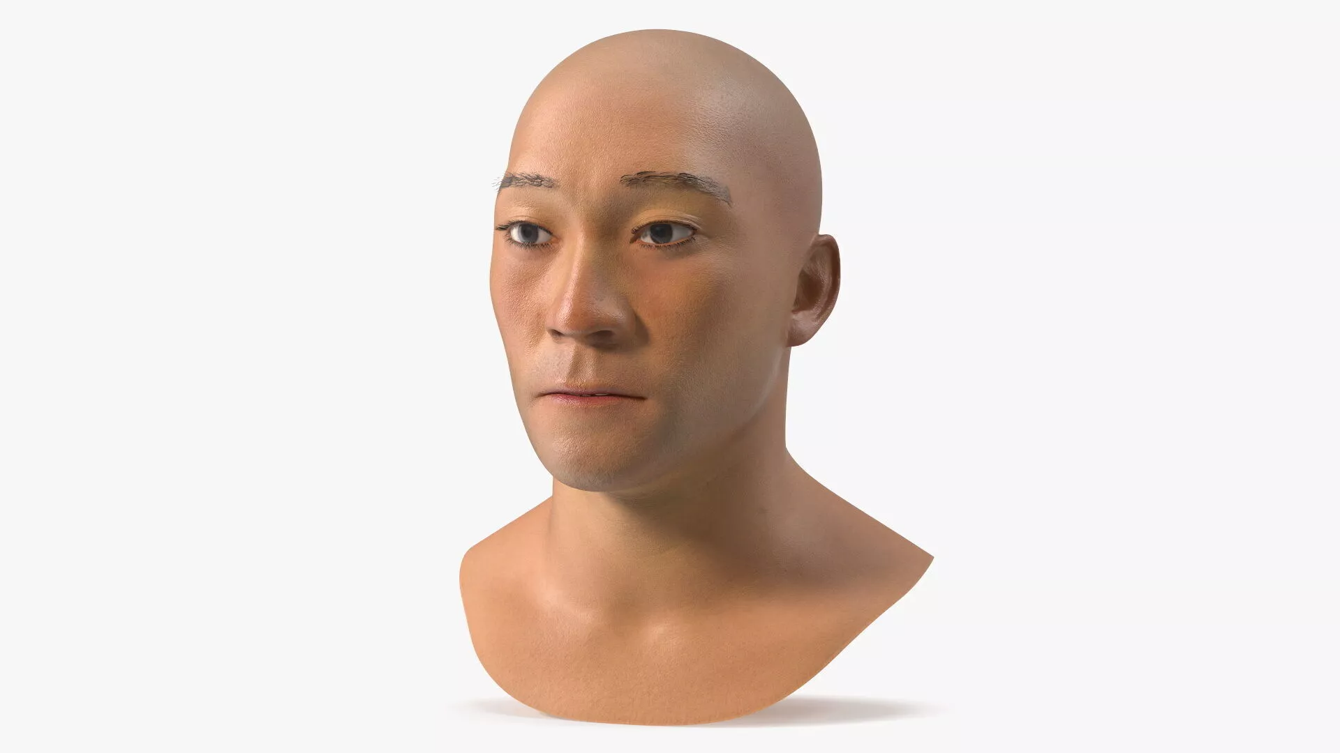 Feudal Japanese Man Head with Neutral Expression 3D model
