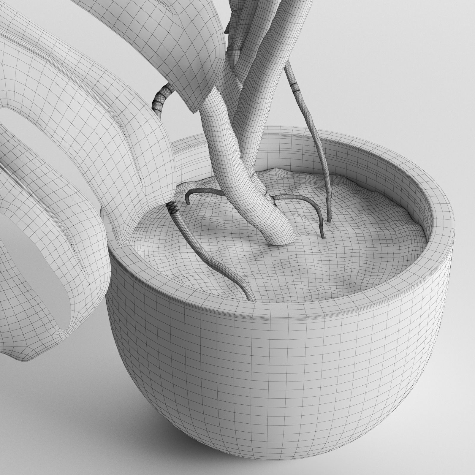 Monstera in Pot1 3D model_6