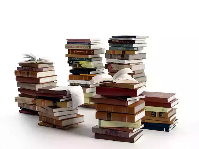 Stacks of Books 3D model