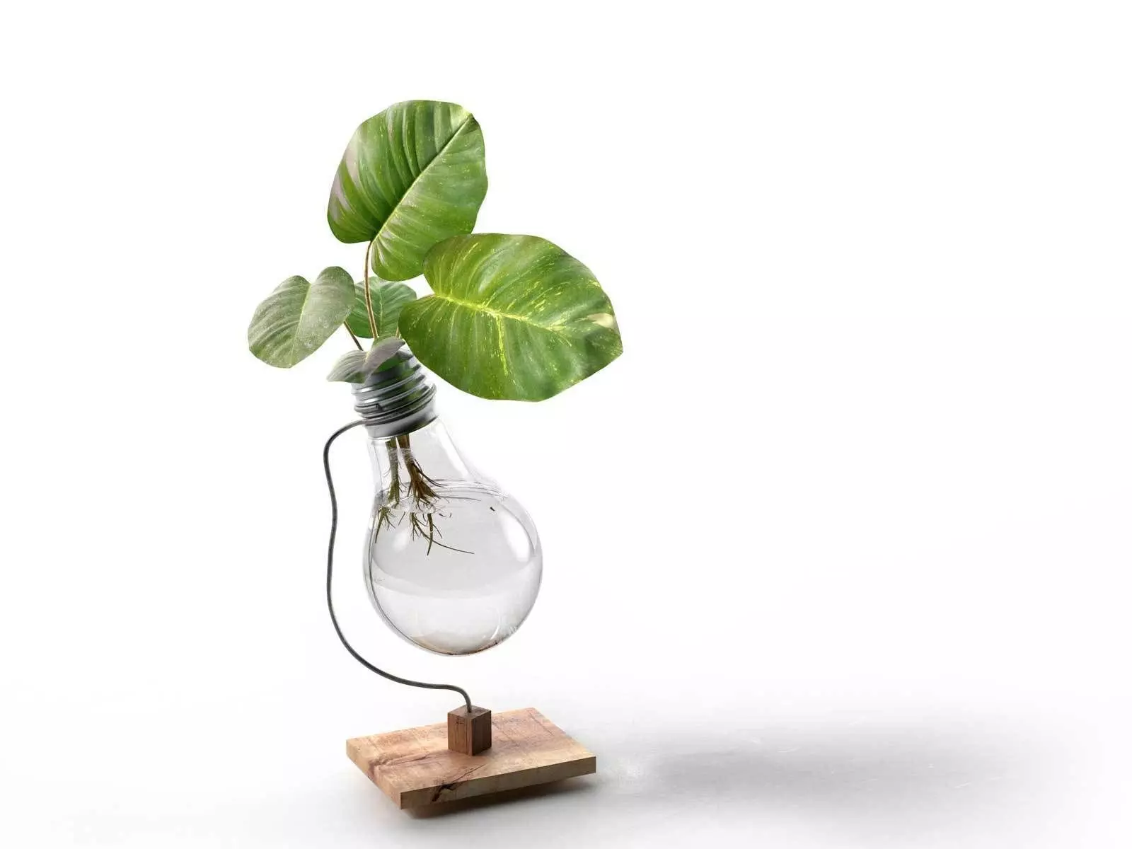 Beta Upcycled Lightbulb Vase 3D model_0