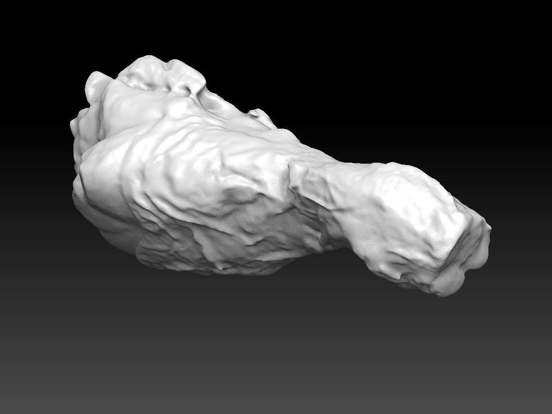 Chicken Drumstick 3D model_3