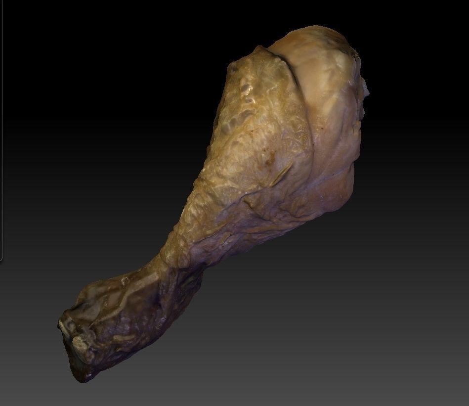 Chicken Drumstick 3D model_1