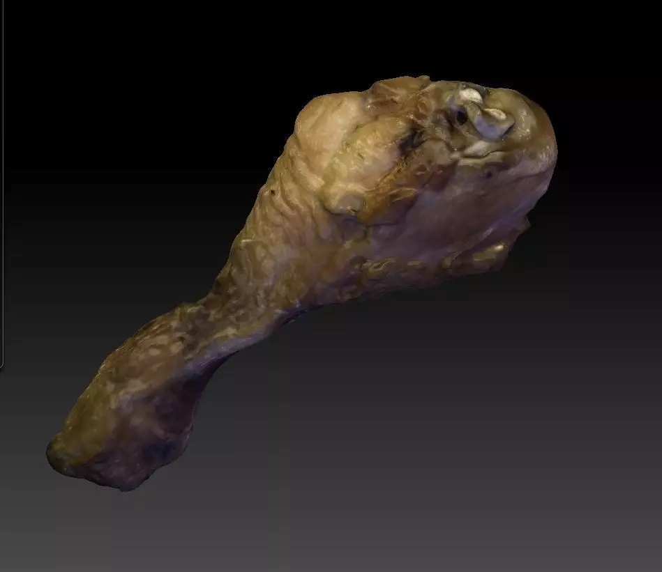 Chicken Drumstick 3D model_0