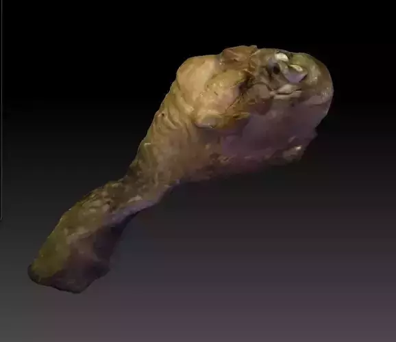 Chicken Drumstick 3D model